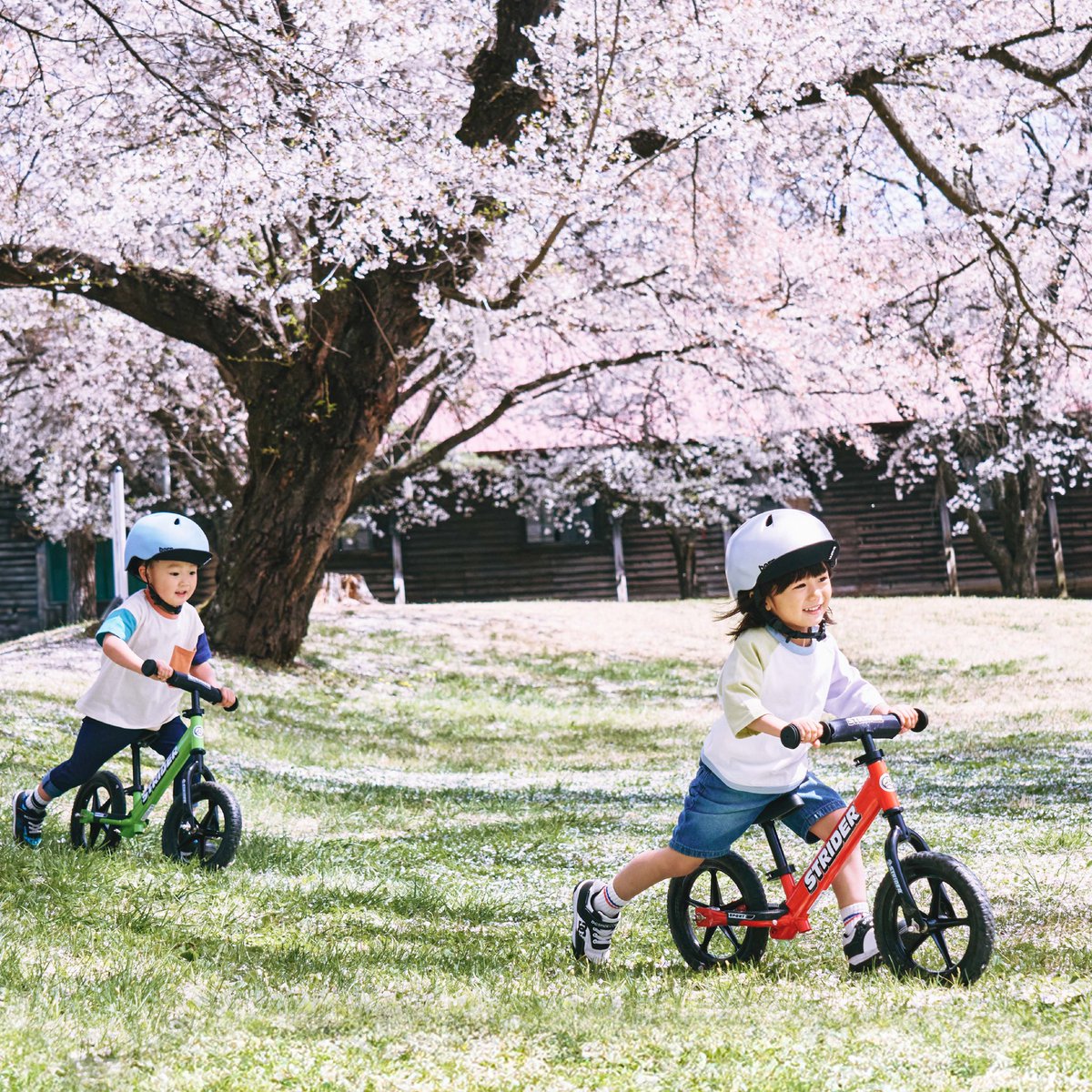 春だ！とびだせ！ストライダー！

#ストライダー
#ストライダーに乗ろう
#春だとびだせストライダー