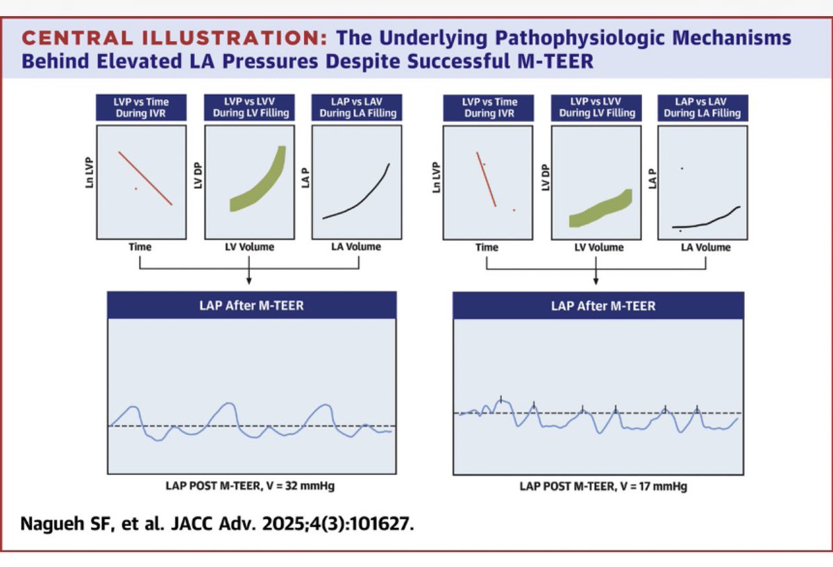 Taha Hatab (@taha_hatab1) on Twitter photo Check out our paper on the effect of M-TEER on left atrial and left ventricular functions out now in <a href="/JACCJournals/">JACC Journals</a> Check out our paper on the effect of M-TEER on left atrial and left ventricular functions out now in <a href="/JACCJournals/">JACC Journals</a>