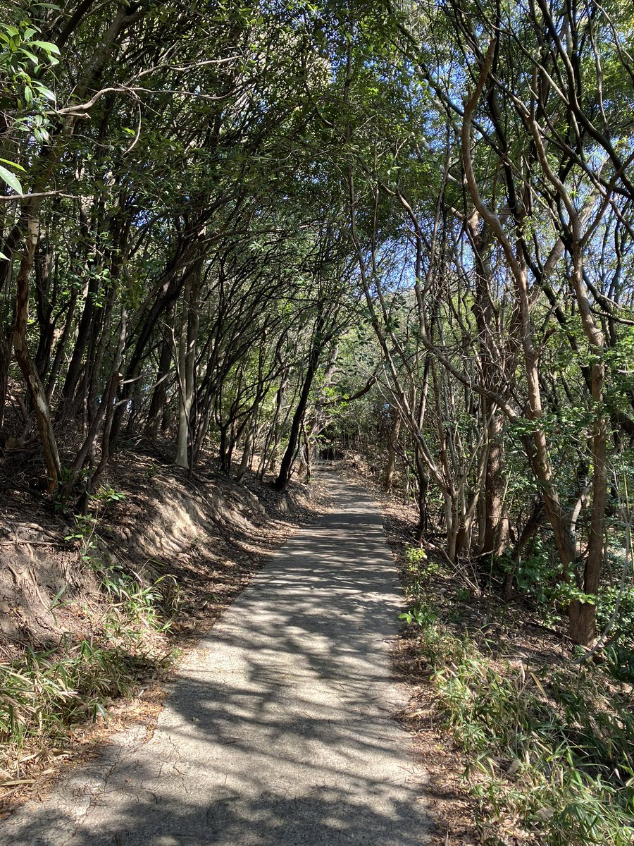 achiko255's tweet photo. 坂道が鬼らしい吉備路に向けて、山道ラン5km! 本番間近、もう付け焼き刃的、、 https://t.co/9X2E19E5rP
