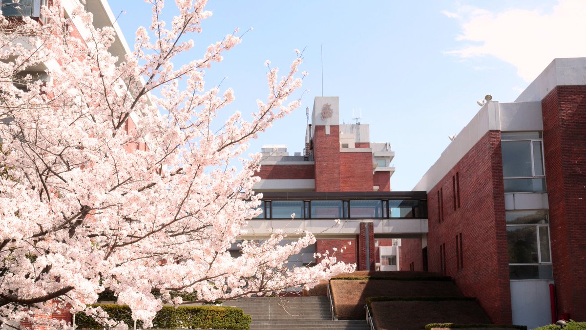 toyaku_univ_pr's tweet photo. いよいよ明日から2日間、第110回薬剤師国家試験が実施されます。
東薬生のみなさん、これまでの努力と身に着けた実力を存分に発揮してきてください！応援しています！！ https://t.co/0fvyuJJtir