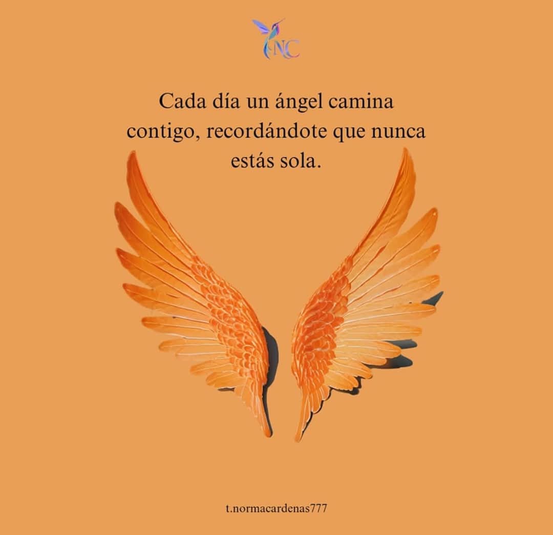 ...aprendiz... (@mireilleguzman) on Twitter photo 