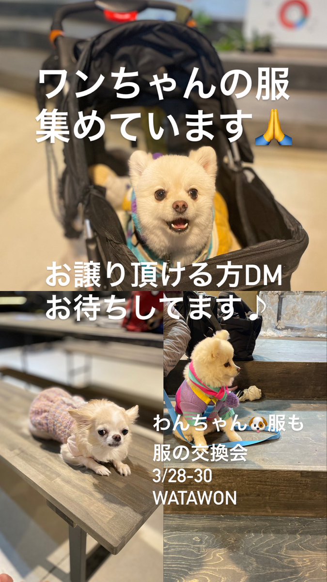 ワンちゃん服🐶
集めています🙏

3/28-30で開催するWHATAWONにてワンちゃん🐶服も交換します！

お譲り頂ける方いらっしゃれば、DMよろしくお願いします🙇