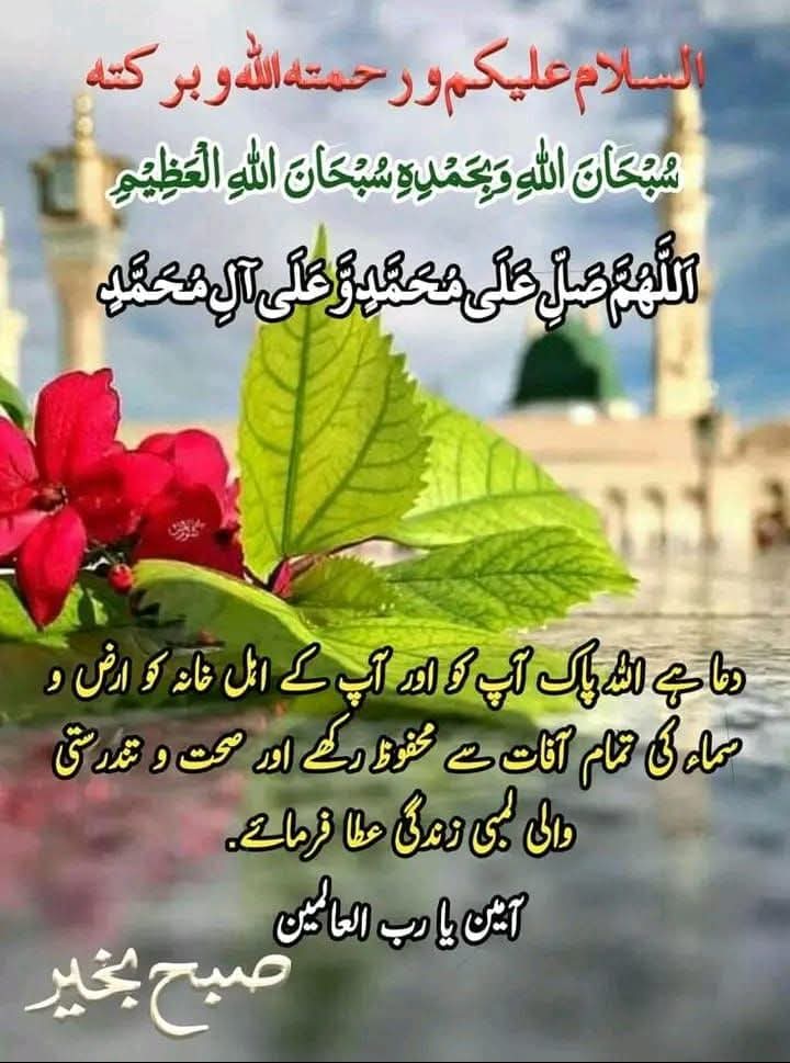 ✰𝗦𝘆𝗲𝗱 𝗦𝗼𝗵𝗮𝗶𝗹 PTI✰ tweet media