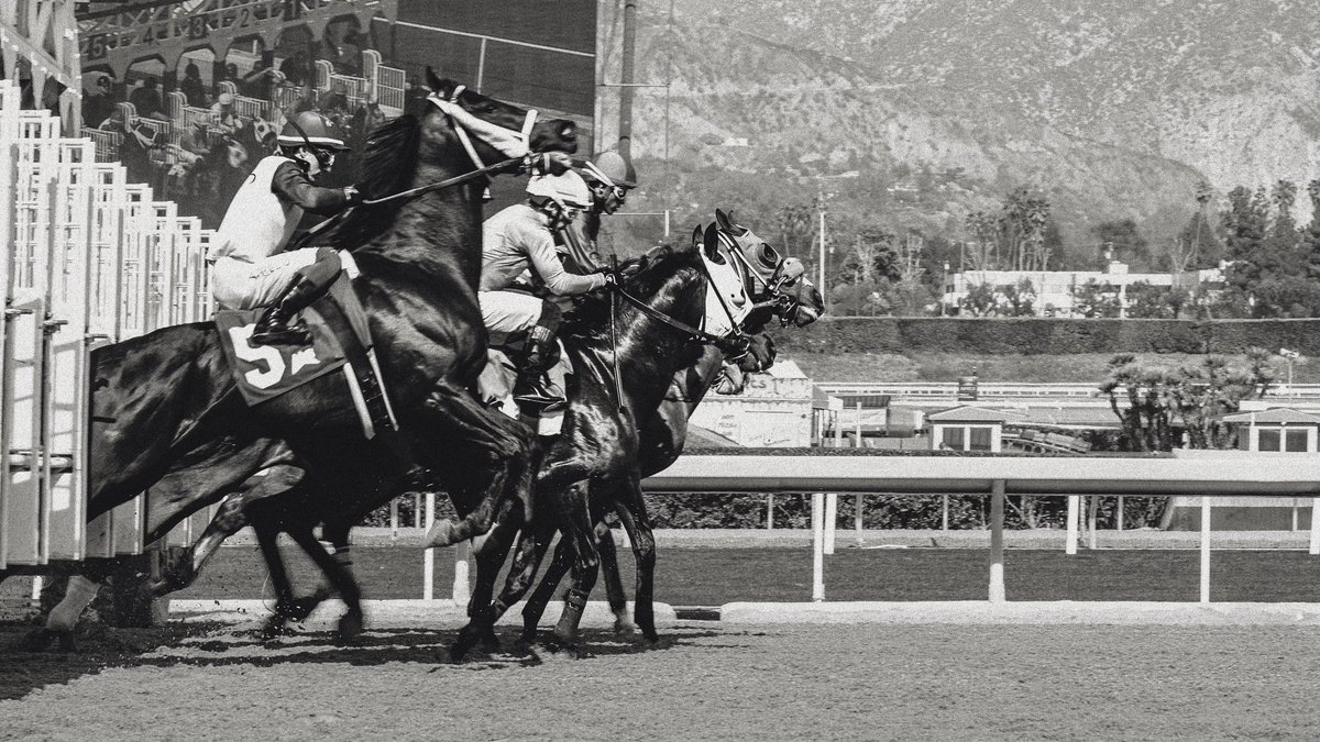 thelanemiller's tweet photo. blink and you’ll miss em 🫡 🐎 ‘tis the season @santaanitapark @keenelandsales @BreedersCup @DelMarRacing @Equibase 
@SonyAlpha https://t.co/gaLOj7C2lW