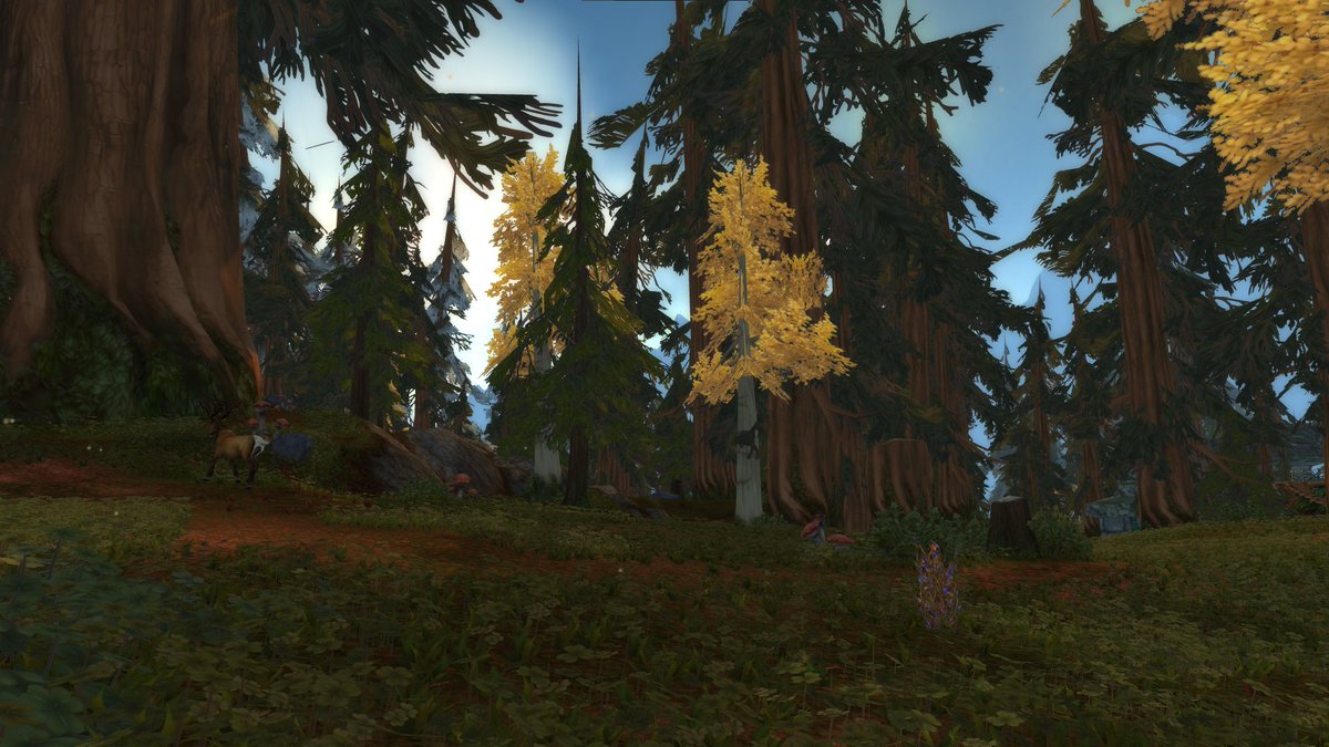 rinny_xiv's tweet photo. Grizzly Hills ⋆｡ ﾟ☁︎｡ ⋆｡ ﾟ☾ ﾟ｡ ⋆ https://t.co/AVySr95RPj