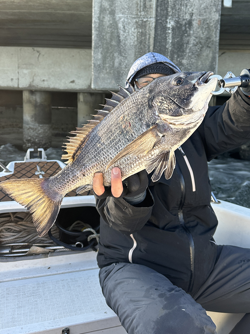 sugarmarin2022's tweet photo. 今日もたくさん釣れた♪
#ボートシーバス #sugarmarin #名古屋港 #名古屋港シーバス #青物 #釣果 #釣りガール #seabaka #釣りバカ #釣り女子 #シーバス #ランカーシーバス #穴撃ち #魚釣り #名古屋港ガイド船 #シーバスガイド #チヌ #チヌジギ #名古屋港チヌ #ダイソージグ #KCE https://t.co/h13yZPqMCt