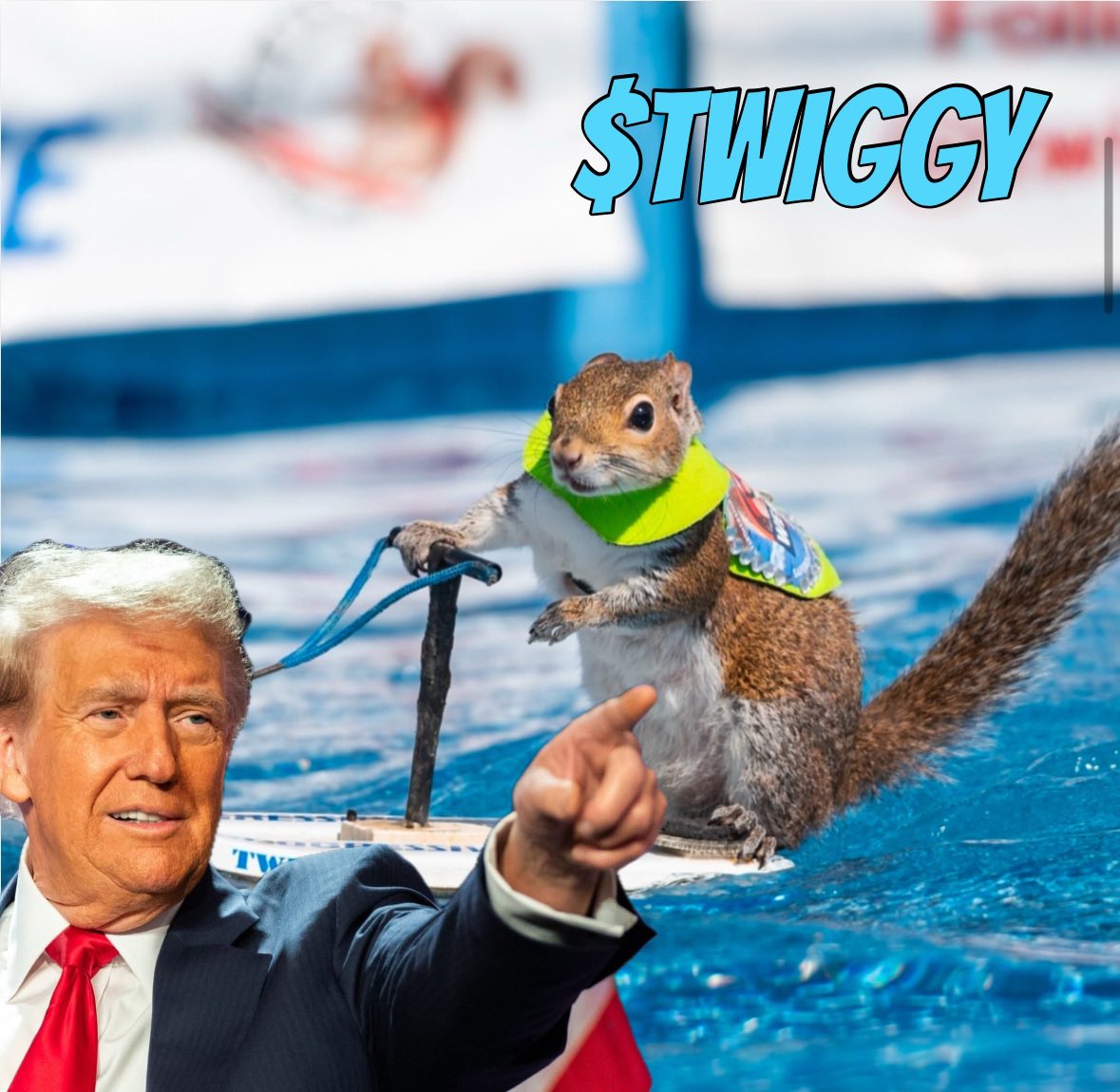 twiggyonsol's tweet photo. @DegenerateNews @realDonaldTrump @JoeBiden Let memes with a mission like $TWIGGY shine! 🐿️💦 this water skiing squirrel is here to make a splash!

CA: nY8XuFsMqM6UTUeubekYUTvvSmX695Zb1oG5EmDpump

#twiggy #twiggythesquirrel #trump #pnut #peanut #elon #twiggytoken #ogpeanut  #squirrel #waterskiingsquirrel https://t.co/5Jbxe5SxYD