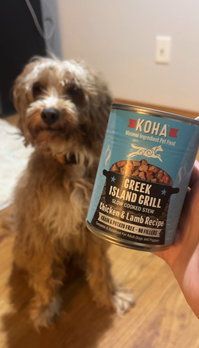 sitprettypup's tweet photo. Review of @KohaPet Greek Island Grill Slow Cooked Stew
Our rating: 🦴🦴🦴🦴🦴
5️⃣ out of 5️⃣ bones
Why:
🐾High protein
🐾Loved by our pack, even our picky rescue dog
🐾Made in Canada and USA
🐾No fillers
🐾Even our senior dog with dental issues could eat this
#dofsofx #doglove https://t.co/Ks9hXxR7wz