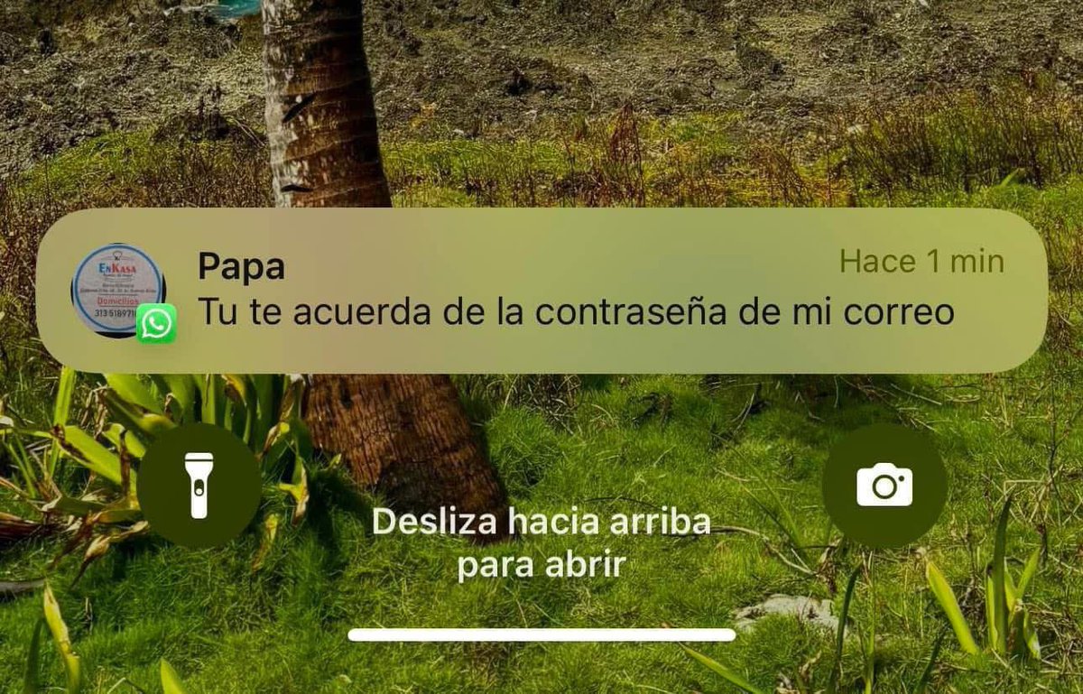 Dan Lipa tweet media
