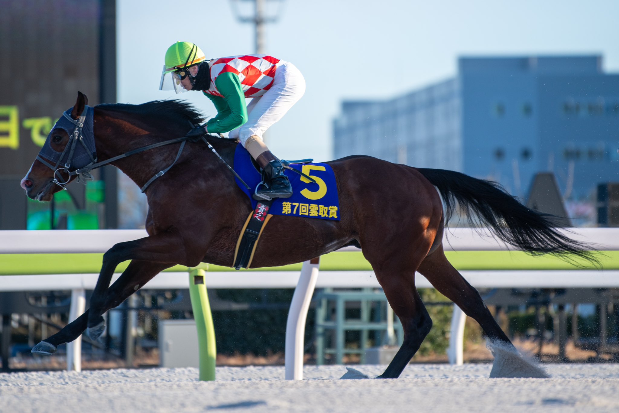 矢野貴之騎手～ | 南関魂 高橋華代子の南関東競馬ブログ