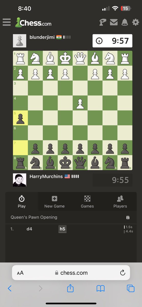 Harry Murchins tweet media