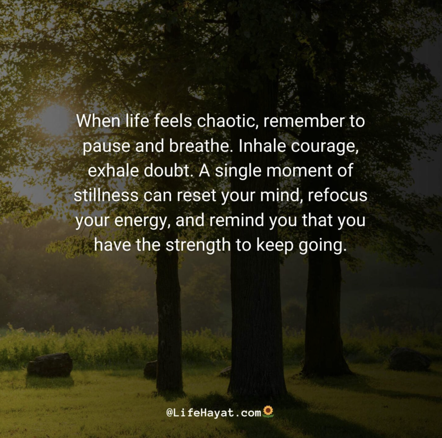 DizonAlain's tweet photo. Pause and breathe...ππ«°π
#PhotoCtto #ThoughtThursday #YourPsychotherapist https://t.co/WA4GB95fZt