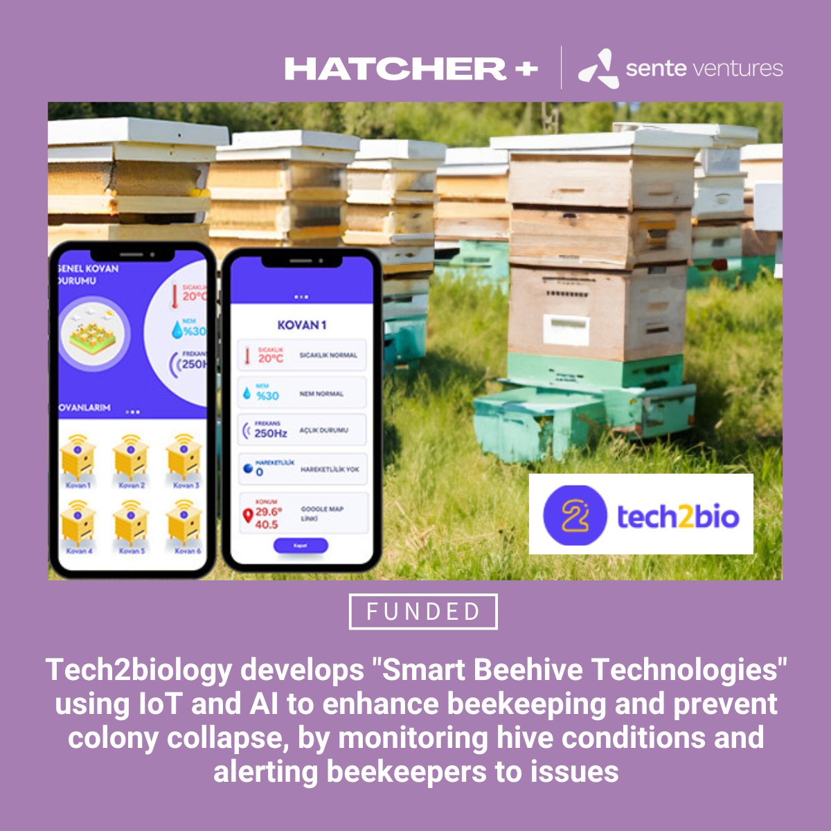 Hatcher+ tweet media