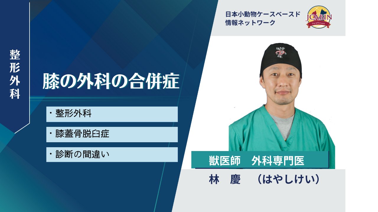 小動物獣医看護学 大阪動物医療センター・副院長 小倉堅志氏が、株式会社CARE PETS