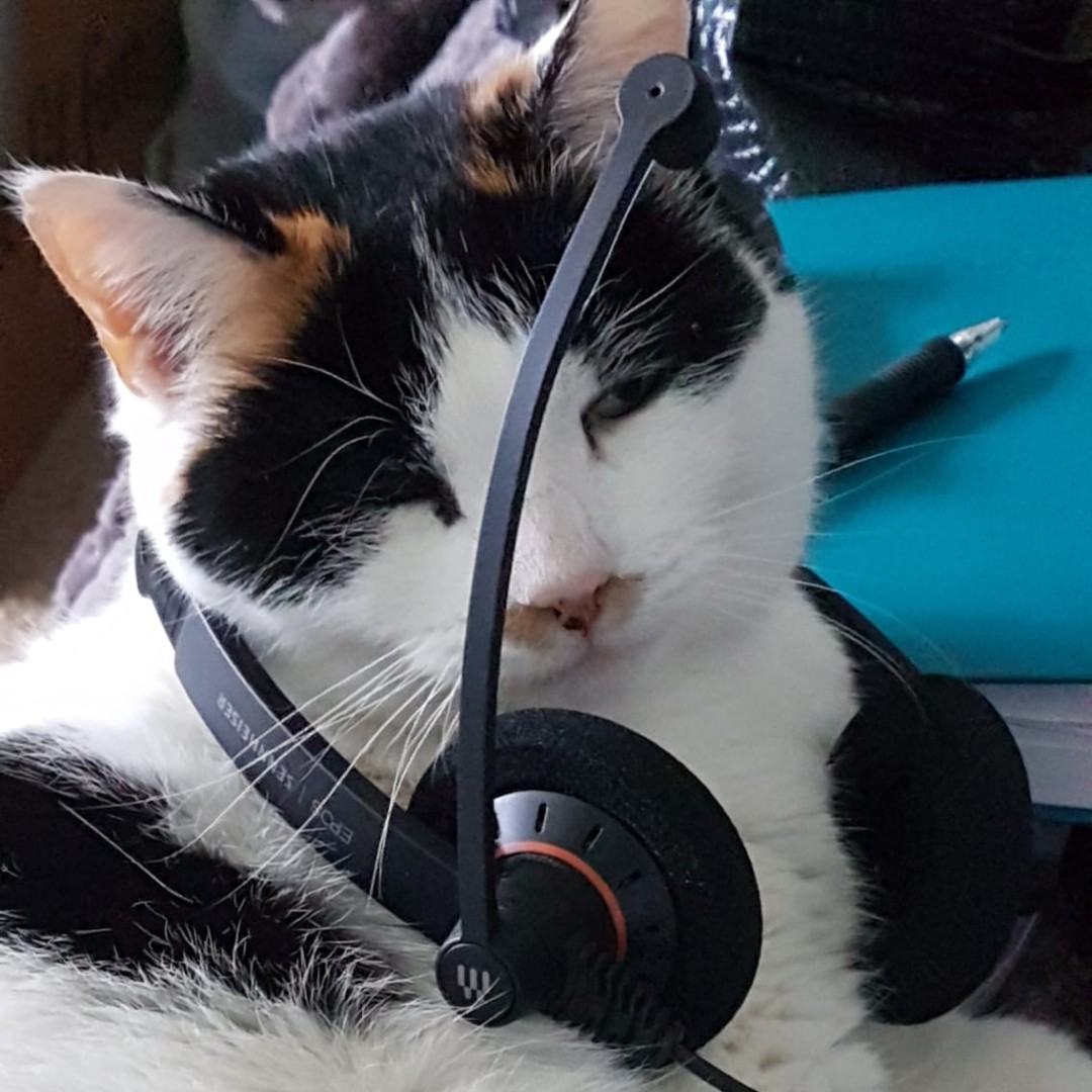 🐾 Today is #LoveYourPetDay and we want to celebrate all the wonderful pets who brighten up our lives! 

Whether they’re a cuddle buddy, a walking companion, or just make you laugh—we do love our pets at ACS. 🧡💙