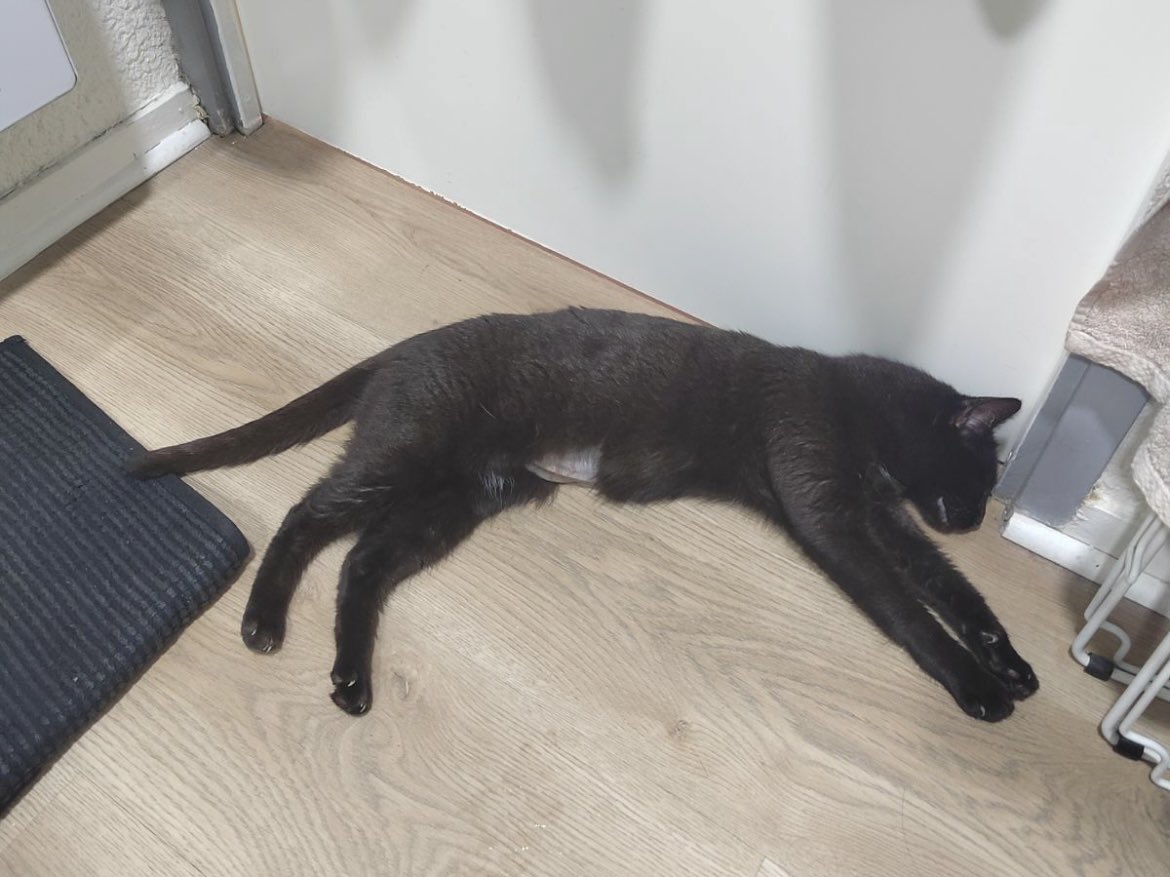 Juliepetitepat's tweet image. Pareil j’ai enfin réussi des belles photos #profitez