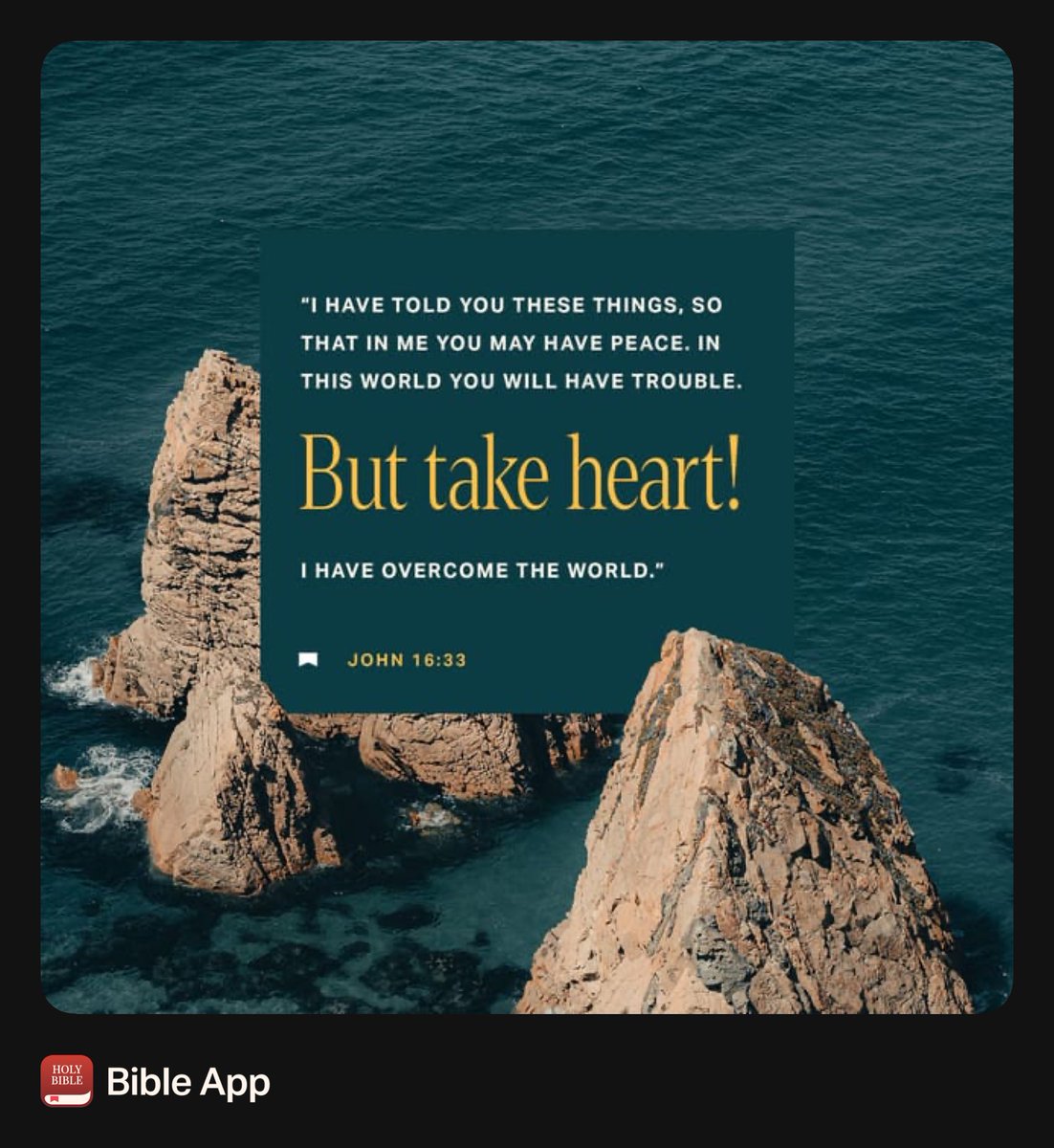 Cassandra Jackson tweet media