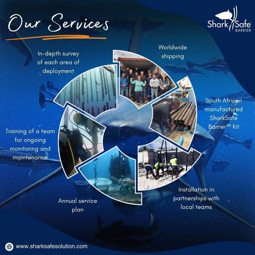 SharkSafe Barrier Pty Ltd tweet media