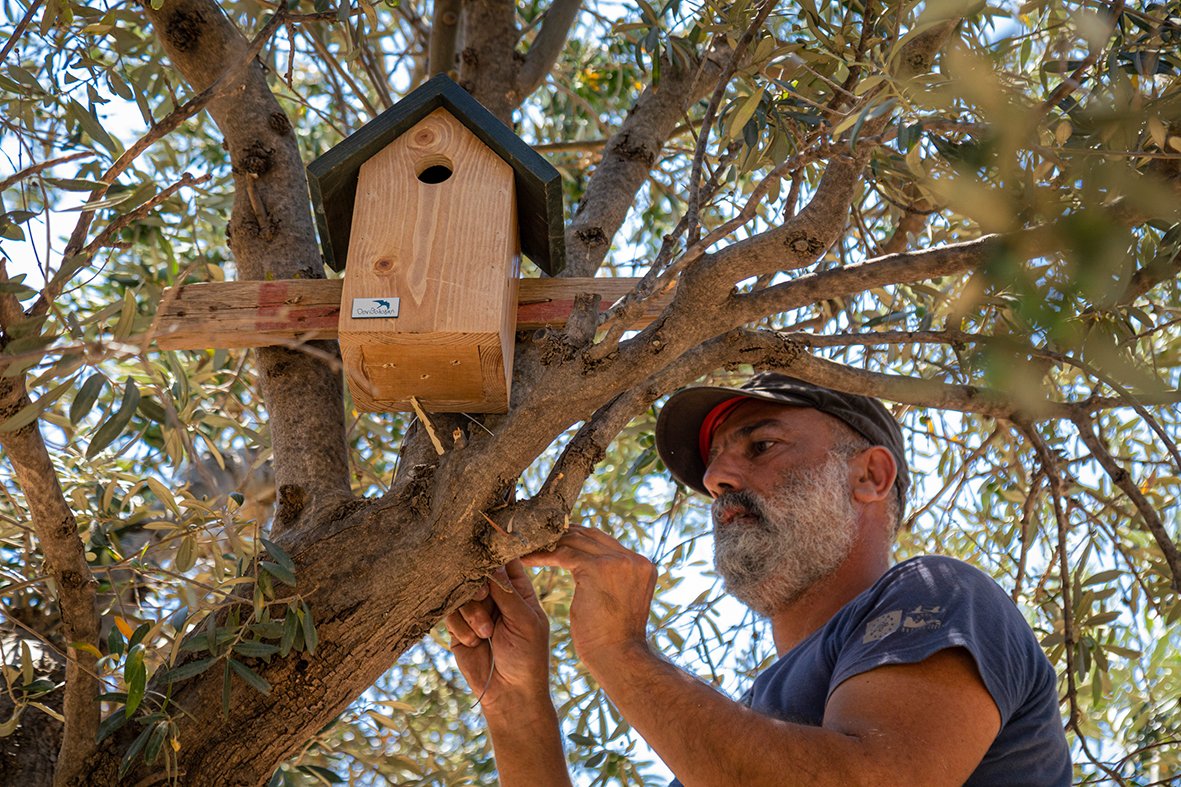 The World Spirits Alliance (WSA) (@wsa_spirits) on Twitter photo In this month’s #SpiritsSpotlight <a href="/remycointreau/">Rémy Cointreau</a> is leading the change with innovative #Biodiversity initiatives within their #SustainableException CSR roadmap.🌿 The conservation work of its renowned Muscat house Metaxa on Samos Island, in partnership with the Hellenic In this month’s #SpiritsSpotlight <a href="/remycointreau/">Rémy Cointreau</a> is leading the change with innovative #Biodiversity initiatives within their #SustainableException CSR roadmap.🌿 The conservation work of its renowned Muscat house Metaxa on Samos Island, in partnership with the Hellenic