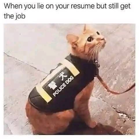 ALLREDToDoRoJo's tweet image. This is a #prerequisite of being a leader , politician, member of the @DNC