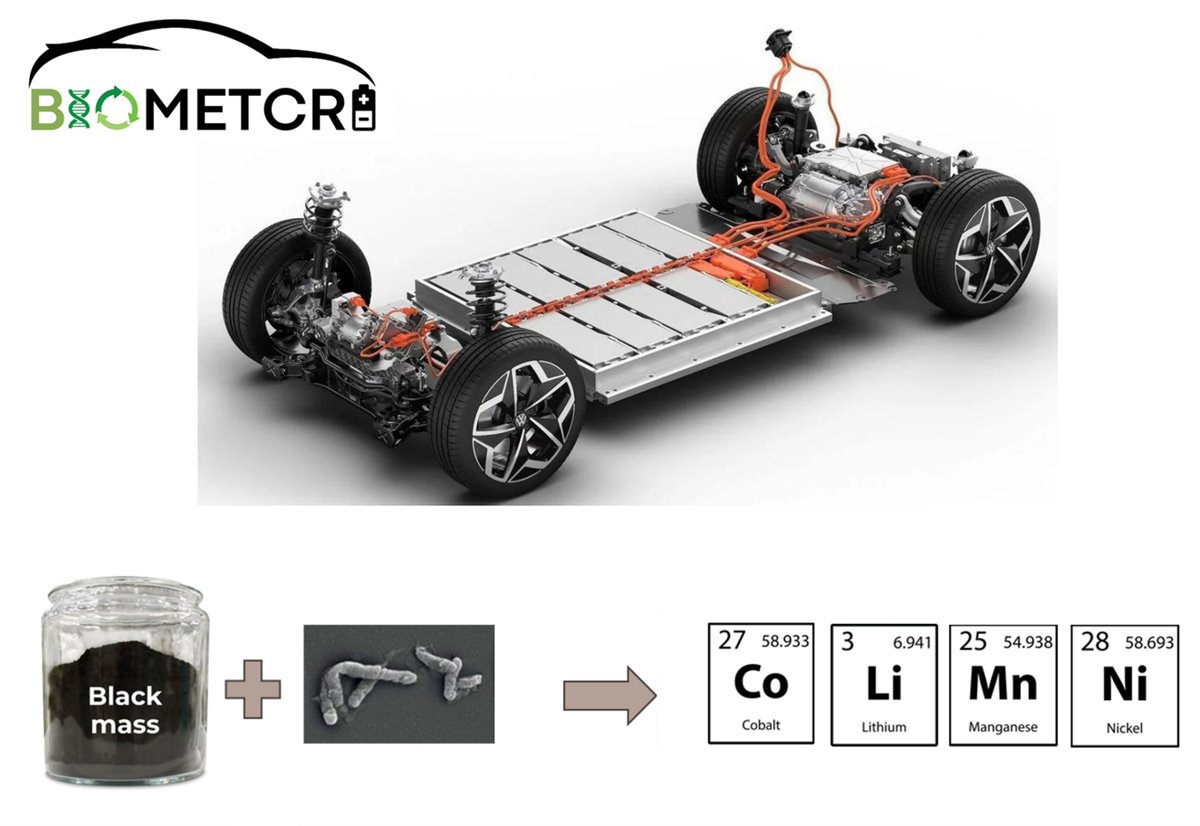 CIT UPC (@cit_upc) on Twitter photo 🔋 The BIOGAP - <a href="/la_UPC/">Universitat Politècnica de Catalunya (UPC)</a> is taking part in the #BIOMETCRI project.
It aims to develop a new biotechnological process for recycling electric and hybrid vehicle batteries, recovering metals such as cobalt, lithium, nickel and manganese. #CircularEconomy
🔗 bit.ly/411PnkW 🔋 The BIOGAP - <a href="/la_UPC/">Universitat Politècnica de Catalunya (UPC)</a> is taking part in the #BIOMETCRI project.
It aims to develop a new biotechnological process for recycling electric and hybrid vehicle batteries, recovering metals such as cobalt, lithium, nickel and manganese. #CircularEconomy
🔗 bit.ly/411PnkW