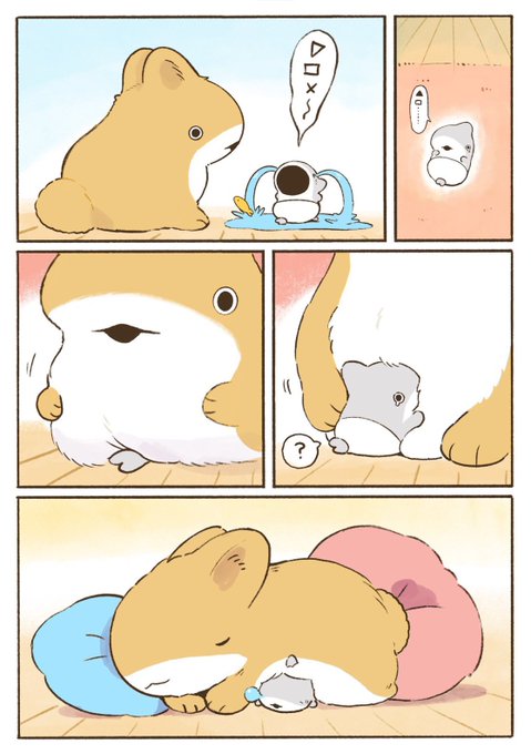 ザメちゃん確認 ベビー子ザメとうさめちゃん | ペンギンボックス@子ザメ7巻&映画