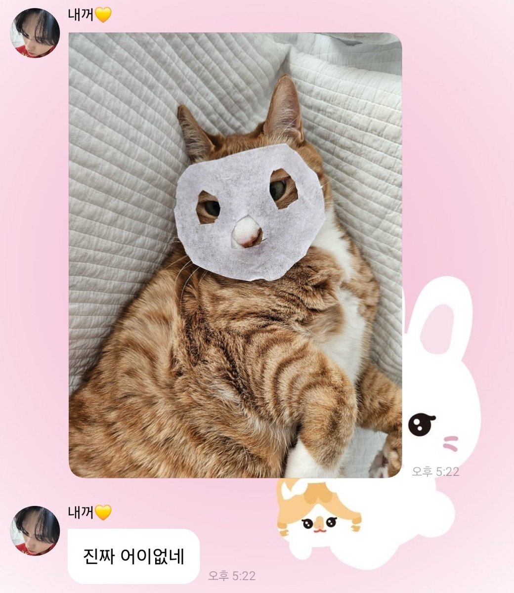knowthat1025's tweet photo. 아ㅠㅋㅋㅋㅋㅋㅋㅋㅋㅋㅋㅋㅋㅋㅋㅋㅋㅋㅋㅋㅋㅋㅋㅋㅋㅋㅋㅋㅋㅋㅋㅋㅋㅋㅋㅋㅋㅋ https://t.co/ZzFXIyzwJ8