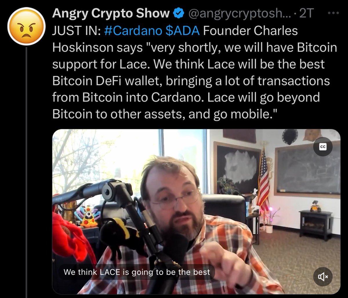 TIMxBRIDGE tweet media