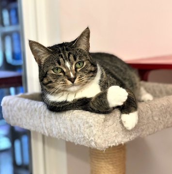 Renee' Martin tweet media