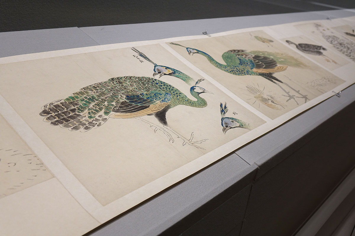 ⦿画家の目のつけどころ⦿ 2F-4近世絵画「画家のスケッチ」では、狩野