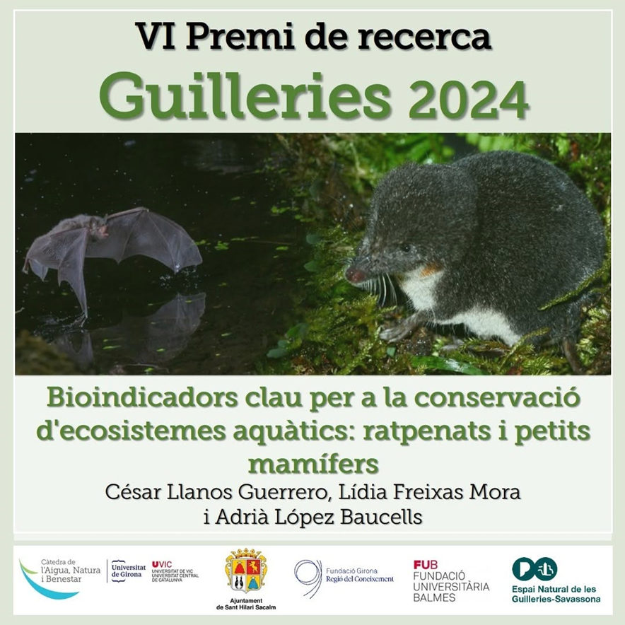 Projecte SEMICE (@semice_) on Twitter photo 🎉 El nostre company <a href="/cesar_llanosgue/">César Llanos-Guerrero</a> ha rebut el Premi Guilleries 2024! 🌿✨
La seva recerca se centrarà en petits mamífers i ratpenats semiaquàtics com a bioindicadors dels hàbitats de ribera 🐀🦇
Gràcies a <a href="/Catedra_Aigua/">Càtedra de l’Aigua, Natura i Benestar</a>, <a href="/uvic_ucc/">UVic-UCC</a>, <a href="/univgirona/">Universitat de Girona</a>, <a href="/santhilari/">Sant Hilari Sacalm</a> i @enguilleries🙌 🎉 El nostre company <a href="/cesar_llanosgue/">César Llanos-Guerrero</a> ha rebut el Premi Guilleries 2024! 🌿✨
La seva recerca se centrarà en petits mamífers i ratpenats semiaquàtics com a bioindicadors dels hàbitats de ribera 🐀🦇
Gràcies a <a href="/Catedra_Aigua/">Càtedra de l’Aigua, Natura i Benestar</a>, <a href="/uvic_ucc/">UVic-UCC</a>, <a href="/univgirona/">Universitat de Girona</a>, <a href="/santhilari/">Sant Hilari Sacalm</a> i @enguilleries🙌