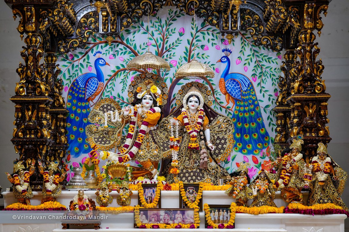 Today's Sringar Darshan of Sri Radha Vrindavanchandra, 20 Feb 2025