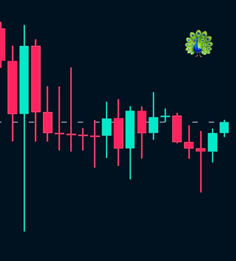 BIG Chonis tweet media