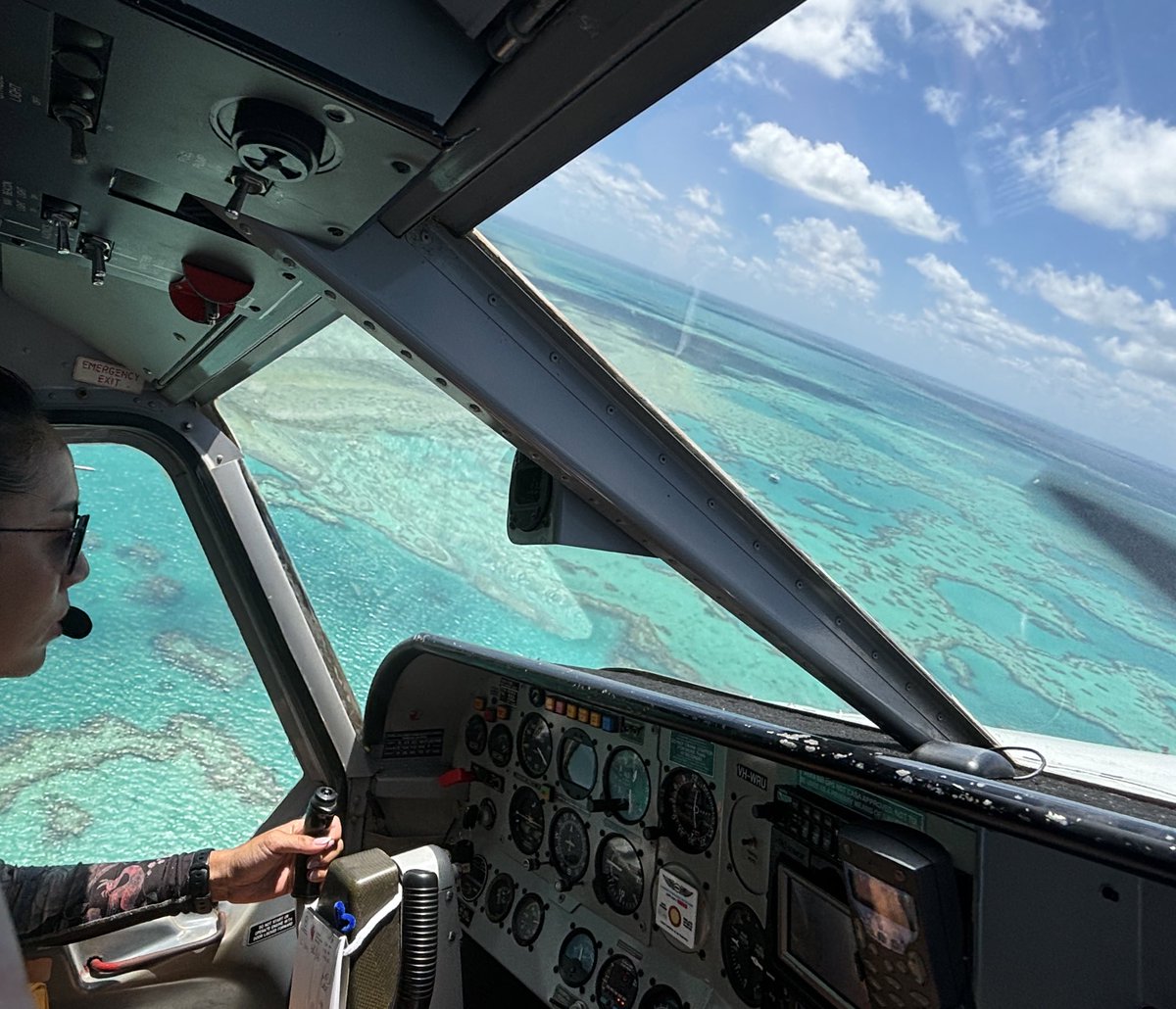 froggy 🌷🐸 magical frog vtuber tweet media