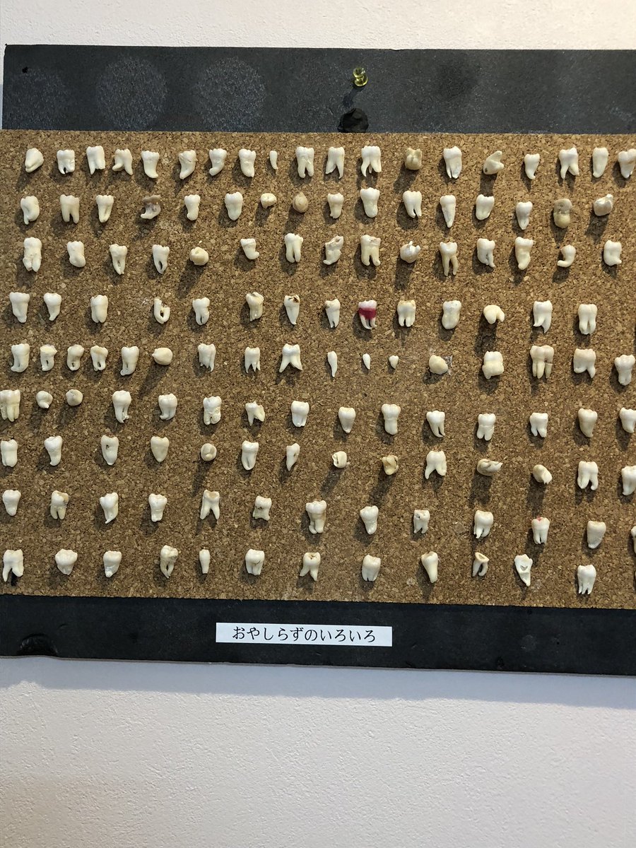 <a href="/s2sy_t/">タケウチ 6.0</a> 以前に難易度高過ぎ親知らず4本抜いた、
藤沢市にある某口腔外科クリニック。
院長のコレクションです。(許可を得てます)