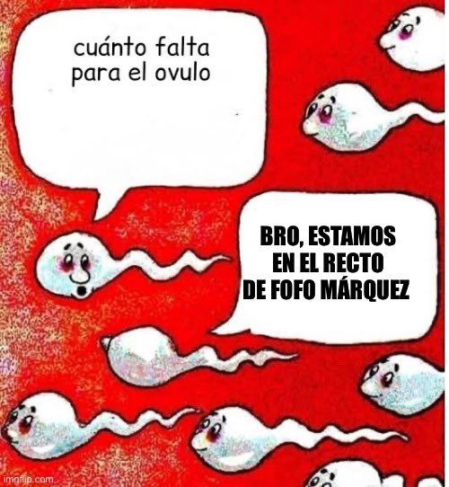 MexicoMagico's tweet photo. https://t.co/y1pM1TrWPt