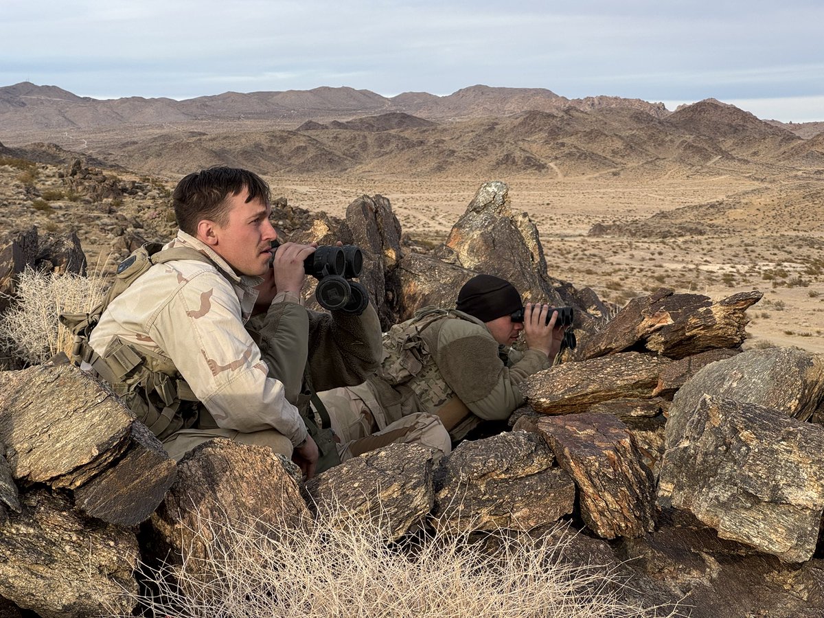 CPT Floridaman McShortshorts tweet media