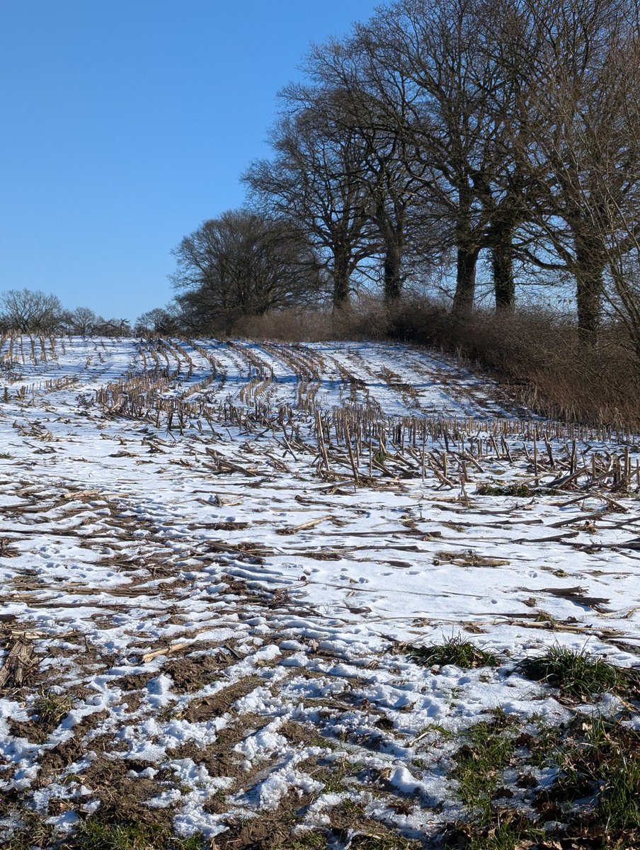 Guten Morgen meine Lieben ❤️ 
Heute ist für mich schon der letzte Arbeitstag in dieser Woche. Hab morgen frei, allerdings bin ich morgen zur Mammo, 
was ich regelmäßig ca. alle 1 1/2 - 2 Jahre machen darf/soll, nun ist es wieder soweit.
Schönen Donnerstag Euch ❄️😌