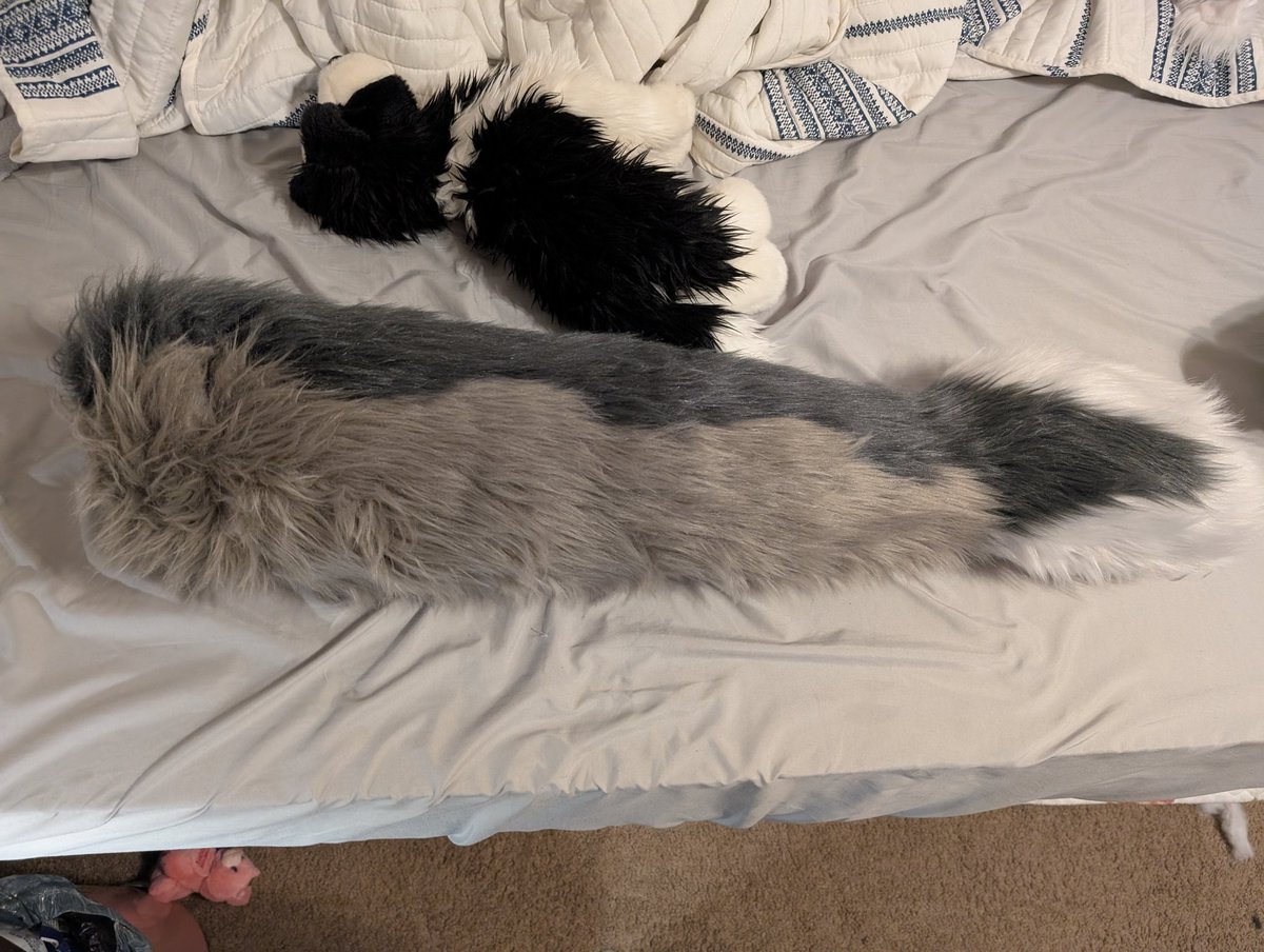 DetroitMonstr's tweet photo. Fursuit parts for sale for 300usd or trade dm for more pictures or inquiries
Comes with:
Large tail
Handpaws
Feetpaws
Black arm sleeves 
Foam fursuit headbase 

#fursuitfortrade
#fursuittrade
#fursuitforsale #furry #fursuit #furryfandom #fursona https://t.co/d91zzt5LNR