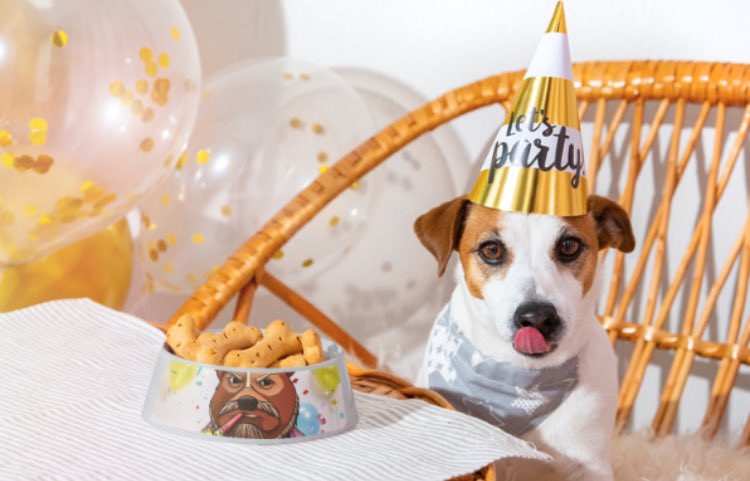 Gm 🤝 Happy Love Your Pet Day

dexscreener.com/pulsechain/0x0…