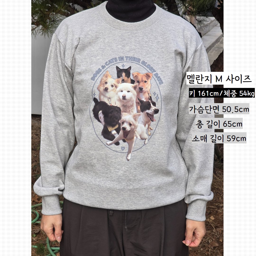 yg_animals's tweet photo. [영광군 유기동물보호소 후원 맨투맨 판매 OPEN!] 작년에 이어 후원 옷을 판매하게 되었습니다. 반팔티에 이어 올해는 간절기에 어울리는 맨투맨 티를 판매합니다. ✔️장당 35,000원 무료배송입니다. 구매링크 ➡️ https://t.co/IabtZjAi79 주변에 많은 홍보와 관심을 부탁드립니다. (2/20~28일까지) https://t.co/e0GcOLWWGN