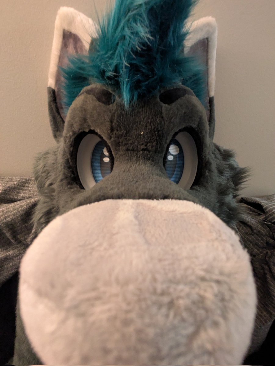 Ahhhhhh Will is finished...look at him snoot