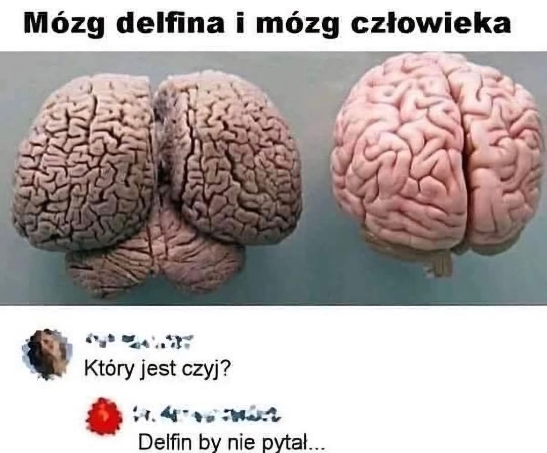 GkNUG2oWcAAyDZf