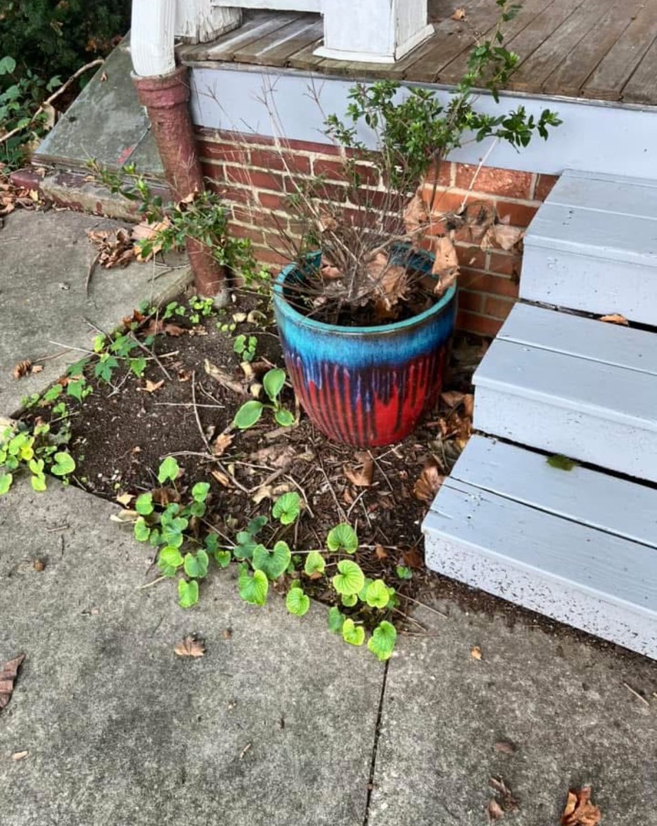 DescriptionVan2's tweet image. Cleaning