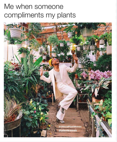 Looking for garden inspiration that’s beautiful, low-maintenance and waterwise? 🌿🌳

At several of our sites across SA, we’ve planted native gardens that can flourish in different soils and climates – all while using less water. 💧

More info: bit.ly/40eYLRF