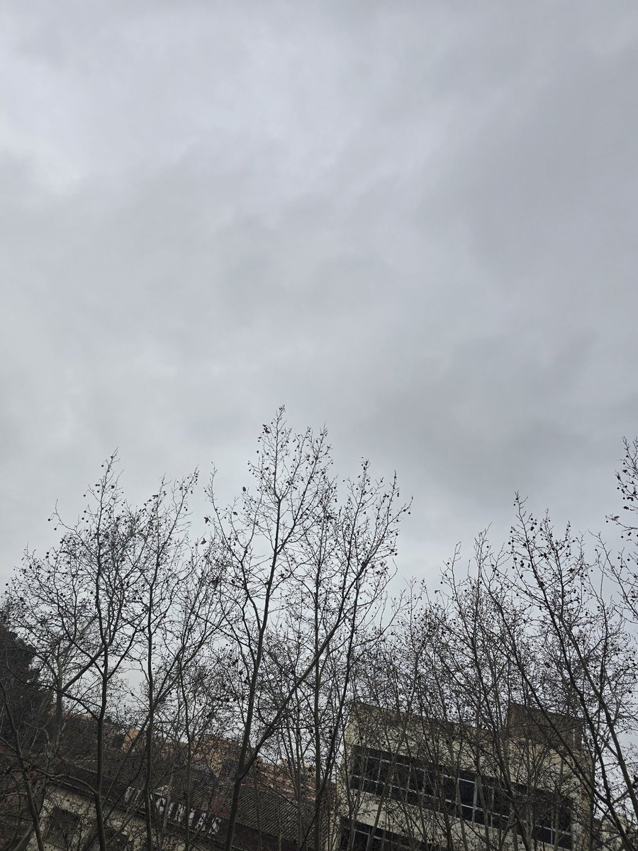 gramareus's tweet photo. Avui tenim 12°C, un cel gris i molta humitat a l'ambient...91% 🌫
#reus #humedad #celgris
@1967fct @StormHour @ecazatormentas @javioru @SeguimlaMeteo @SoniaPapell @JRovireta @SomosMeteo @Alex_MeteoM #bondia https://t.co/AndhNyX16u