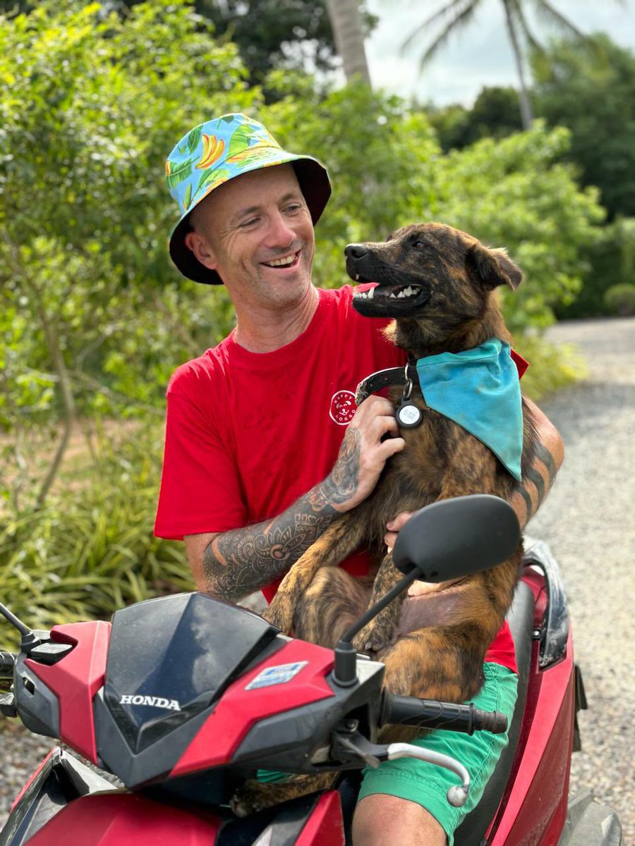 Niall Harbison tweet media