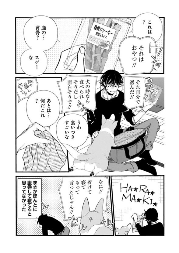 白泉社のWeb雑誌「花ゆめAi Vol.76」と 「犬飼くんのシッポ」の