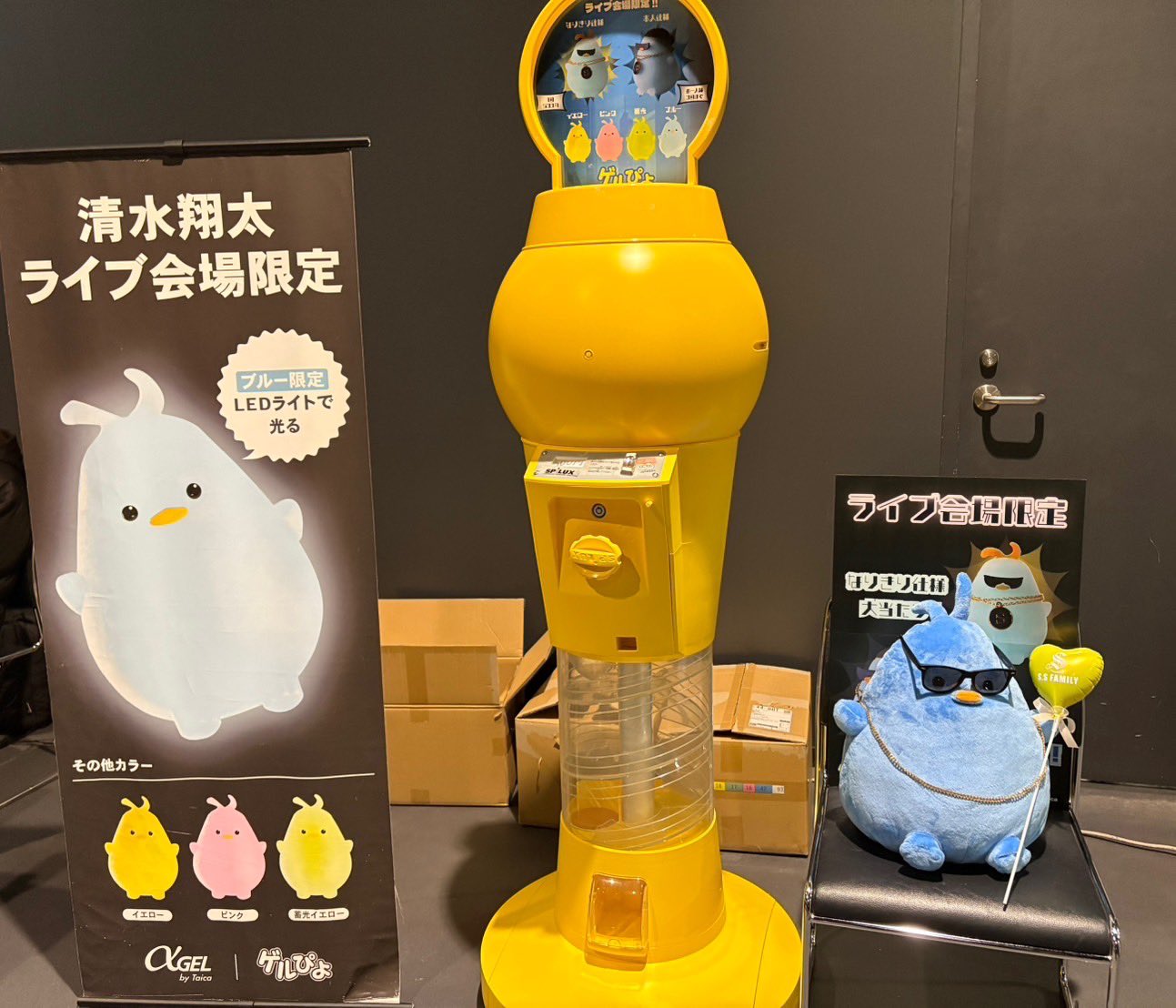 Amazon.co.jp: げるピヨ 清水翔太 なりきり翔太 なりきりセット