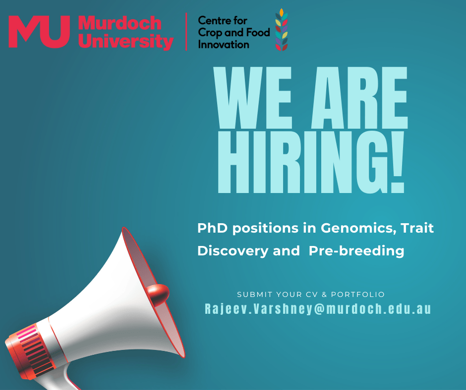 Murdoch's Centre for Crop & Food Innovation & SABC (@mu_ccfi_biotech) on Twitter photo Another exciting PhD Opportunity Alert!
We have THREE fully funded PHD positions available in <a href="/MurdochUni/">Murdoch University</a> <a href="/MU_CCFI_Biotech/">Murdoch's Centre for Crop & Food Innovation & SABC</a> Genomics, Trait Discovery and Pre-Breeding team.
We're looking for students with experience working in a genomics/ plant molecular biology lab, as well Another exciting PhD Opportunity Alert!
We have THREE fully funded PHD positions available in <a href="/MurdochUni/">Murdoch University</a> <a href="/MU_CCFI_Biotech/">Murdoch's Centre for Crop & Food Innovation & SABC</a> Genomics, Trait Discovery and Pre-Breeding team.
We're looking for students with experience working in a genomics/ plant molecular biology lab, as well